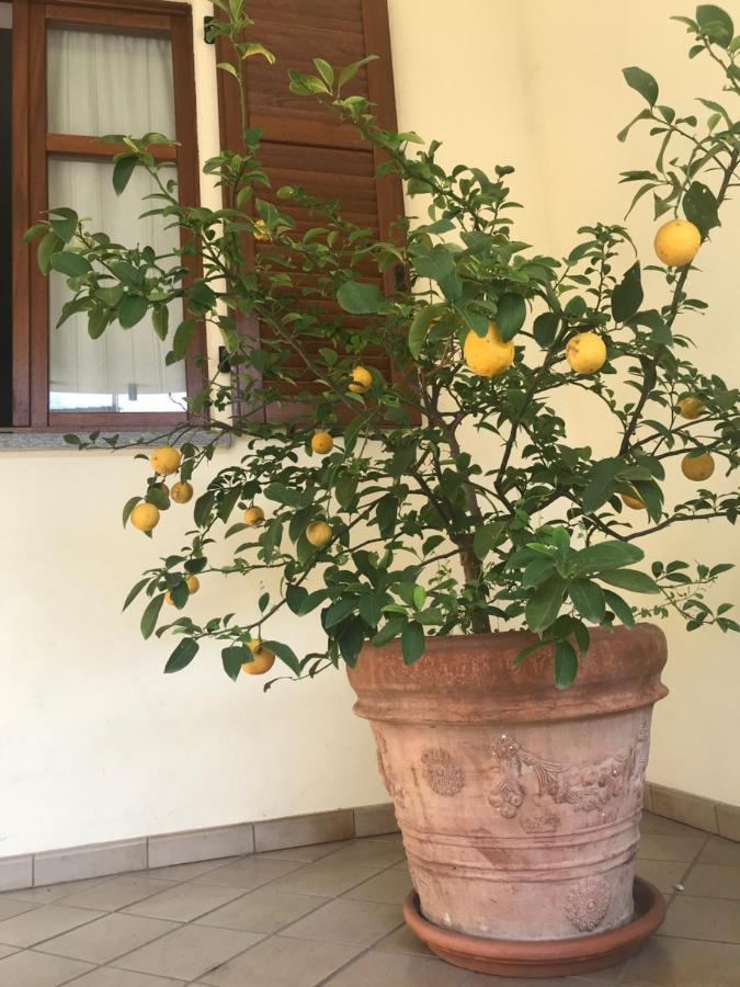 La Casa Del Melograno Apartman Alba  Kültér fotó